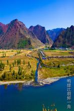 ��ǰ�������ļ�