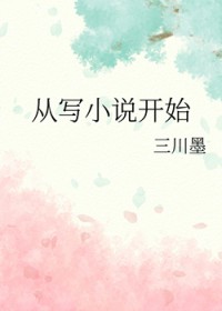 ��дС˵��ʼ