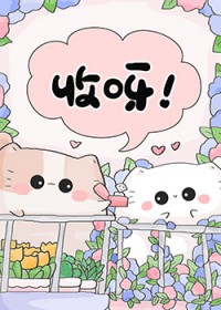 ��è���ҵ����Ĳ�����