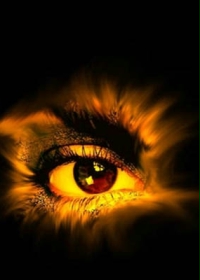 ��Ӱ����