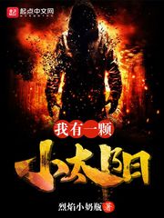 ����һ��С̫��