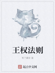 ��Ȩ����