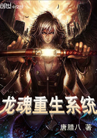 ��������ϵͳ